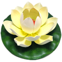 平安荷花灯