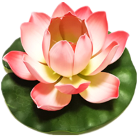 富贵荷花灯
