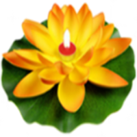 吉祥荷花灯