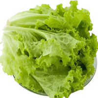 生菜（生财）