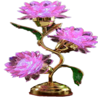 荷花绿叶灯