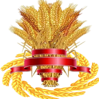黄金穗(岁)