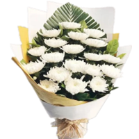 一束白菊