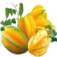 杨桃